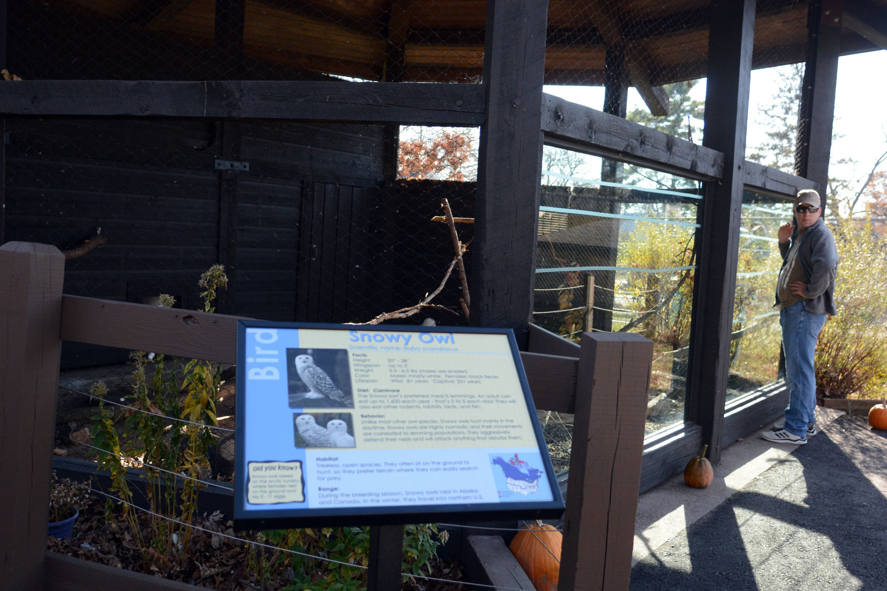 Scenes from Baraboo's Ochsner Park Zoo, Nov. 7, 2020